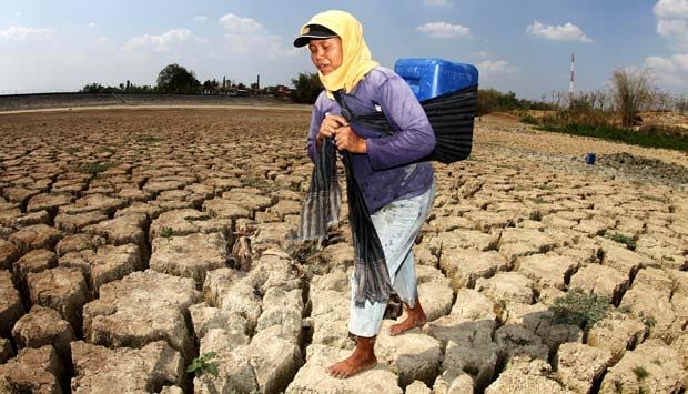 INDONESIA Crops Destroyed By Fires In Indonesia’s Worst Drought In Five ...