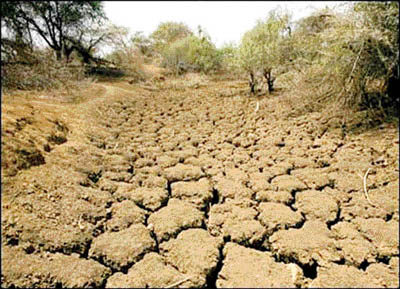 SRI LANKA Drought warning in Sri Lanka: 60,000 hectares of cultivated ...